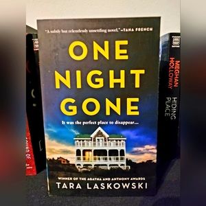 One Night Gone suspense novel